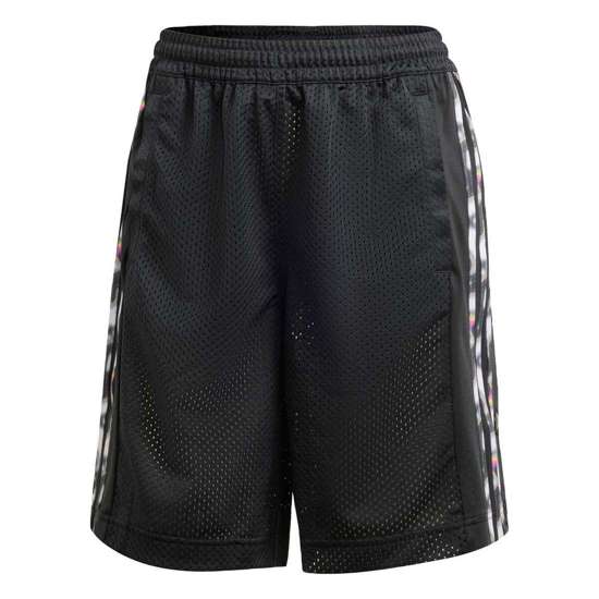 Обычные шорты Pride Adibreak