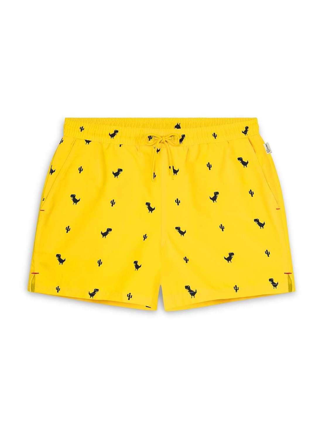 Шорты для плавания TYRANREX