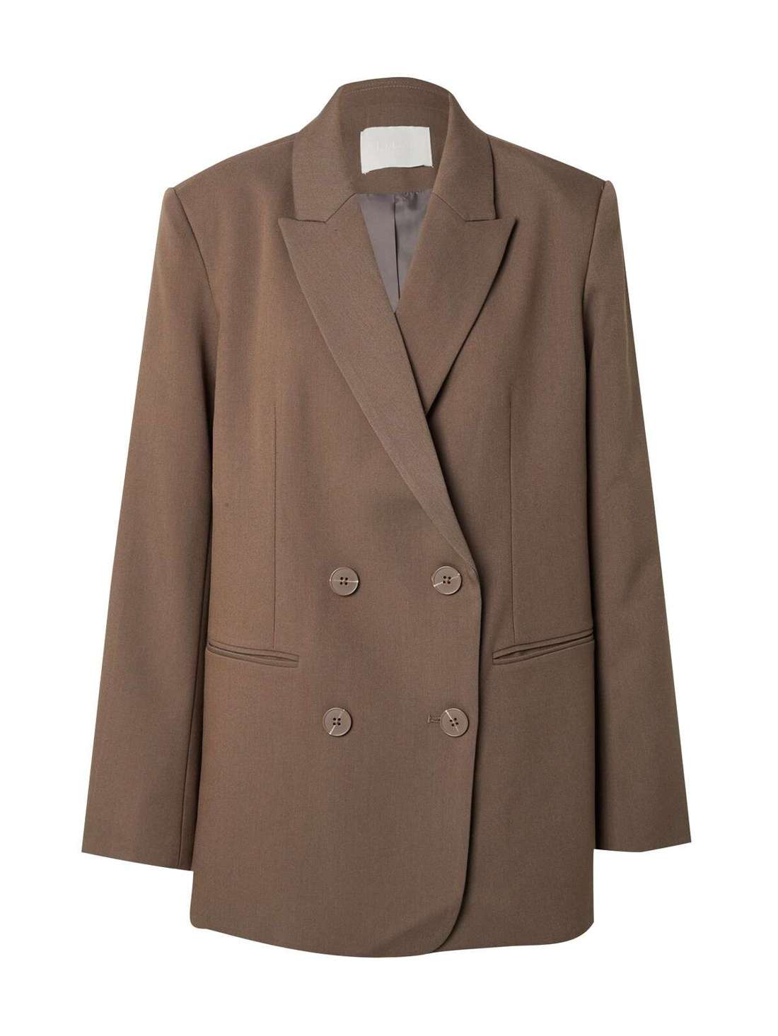 Блейзер Anian