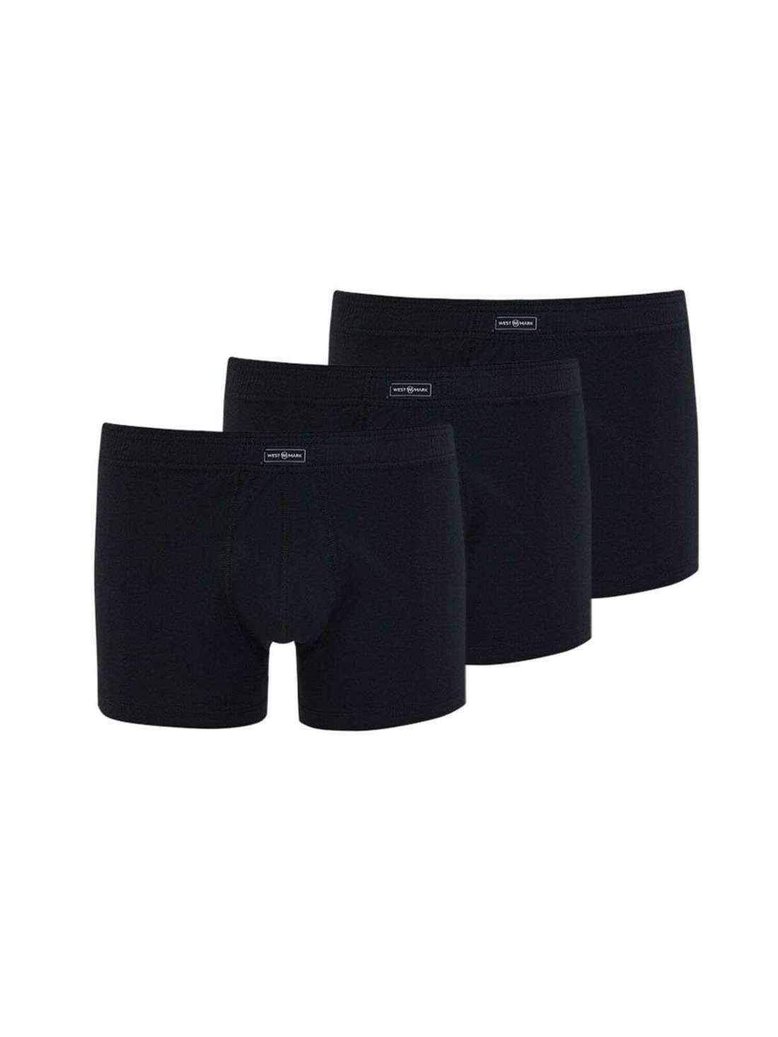 Боксеры Arthur