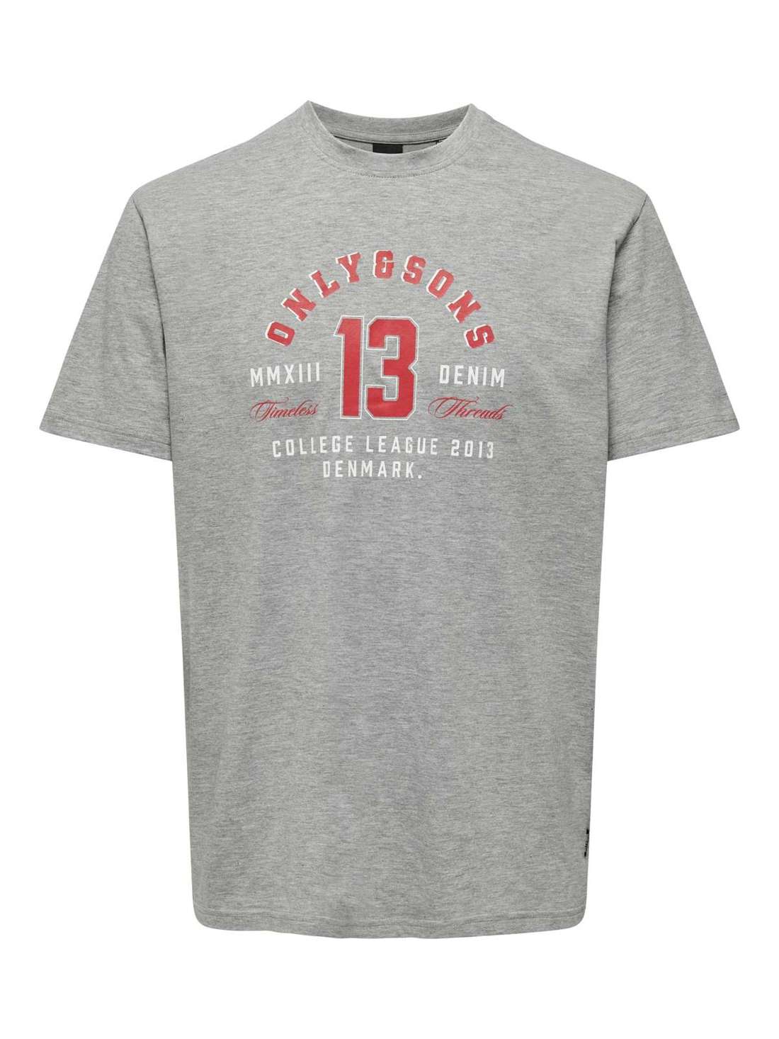 рубашка с круглым вырезом ONSLENNY LIFE REG VINTAGE PRINT TEE NOOS