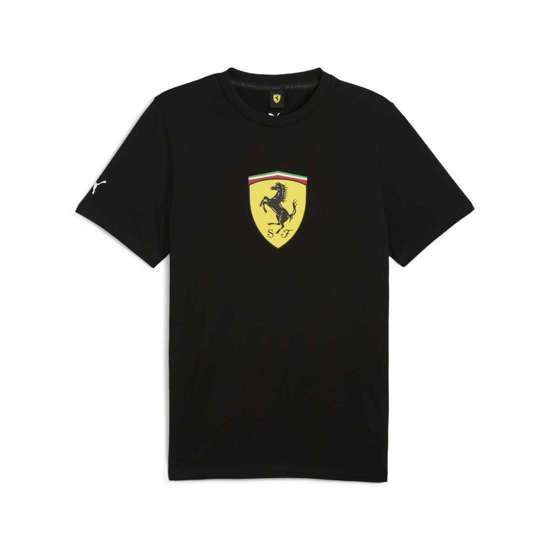 футболка Scuderia Ferrari Race Coloured Big Shield T-Shirt Herren