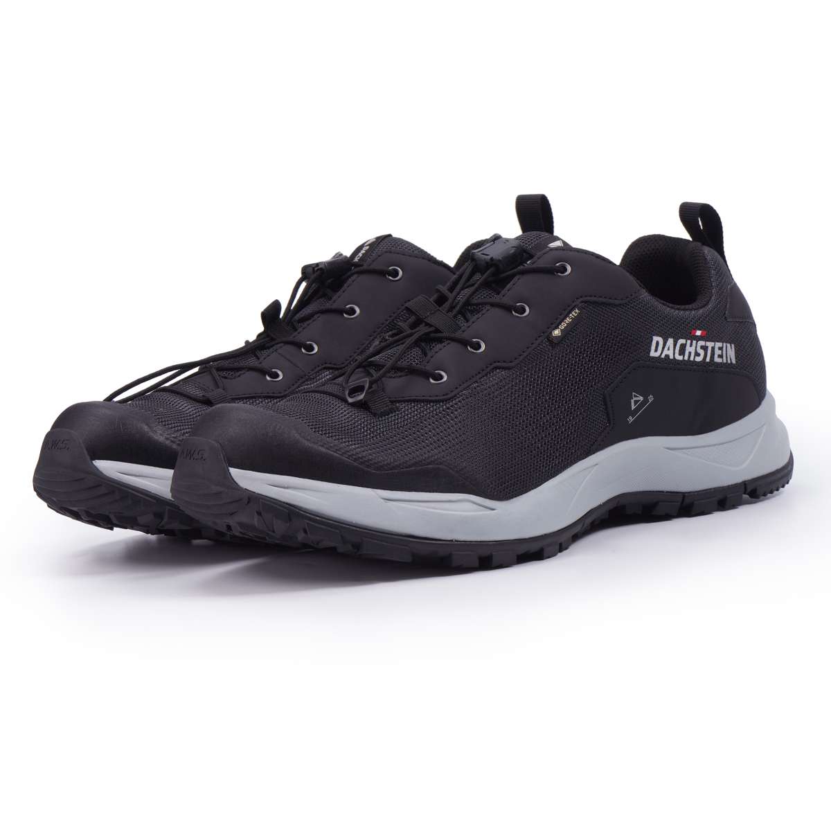 Походная обувь DELTA ASCENT GTX