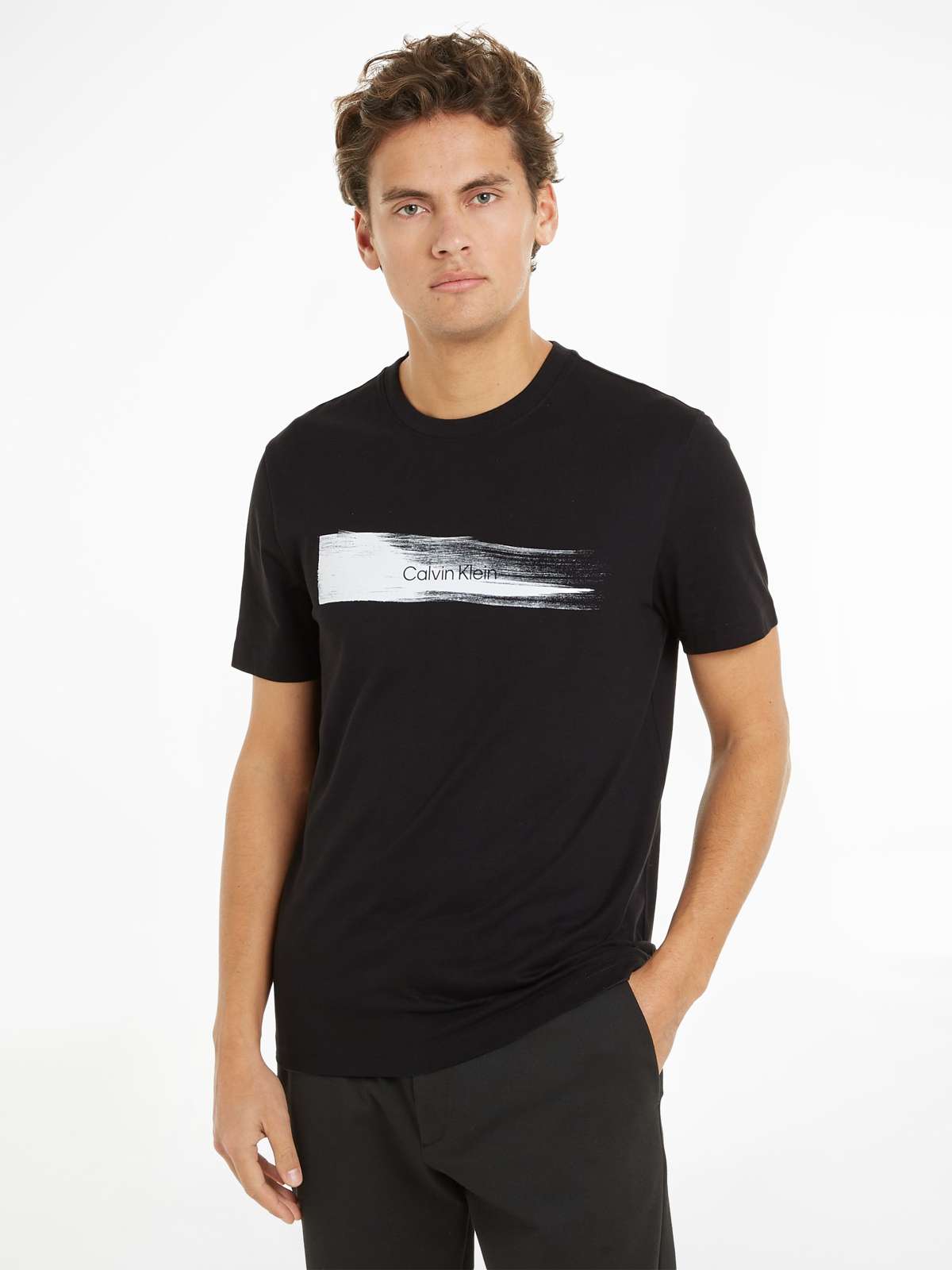 Футболка с надписью-логотипом BRUSH LOGO T-SHIRT