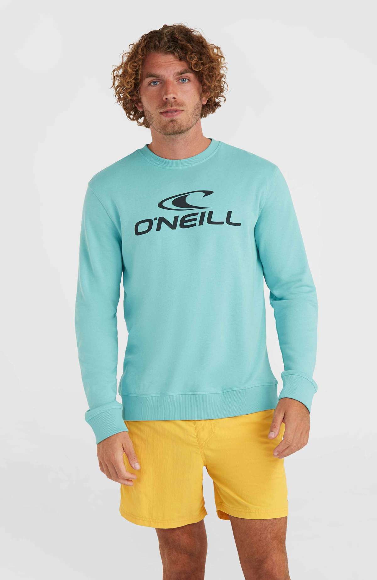 толстовка O`NEILL LOGO CREW