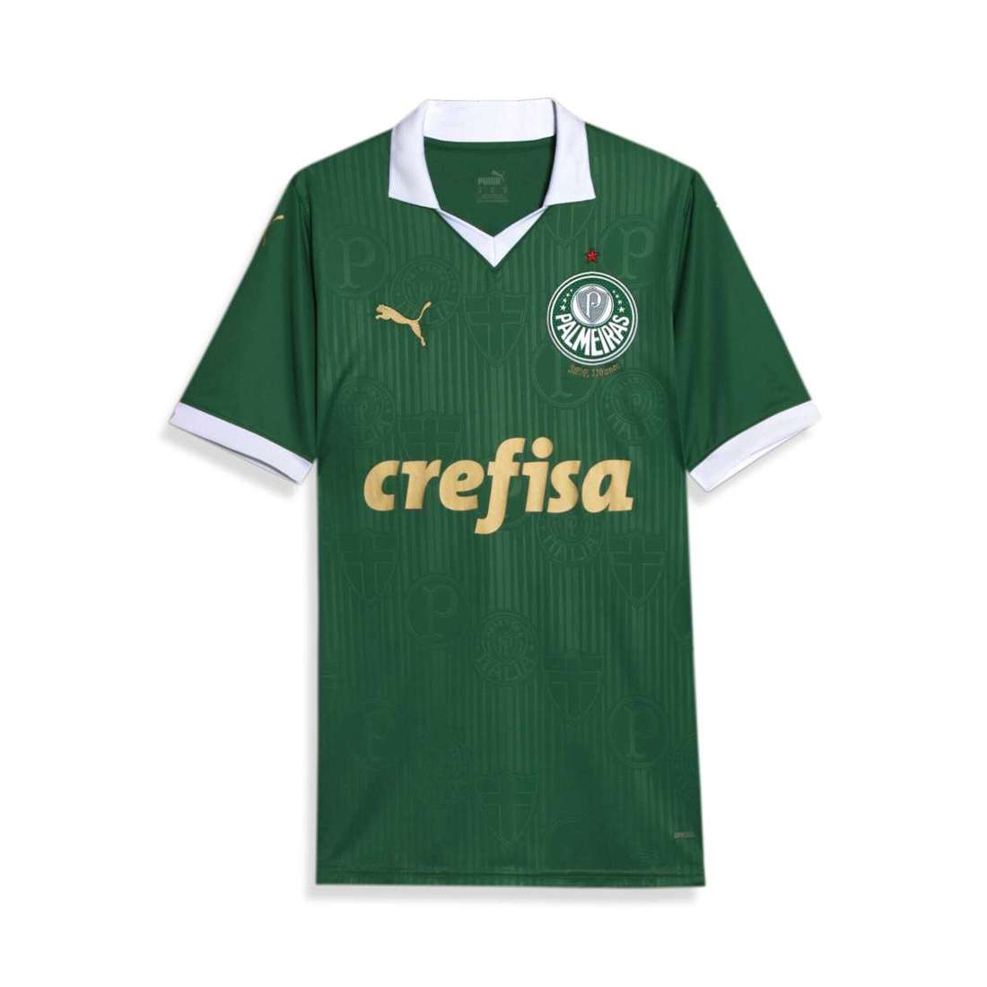 Тренировочная рубашка Palmeiras Fans 2024 Heimtrikot Herren