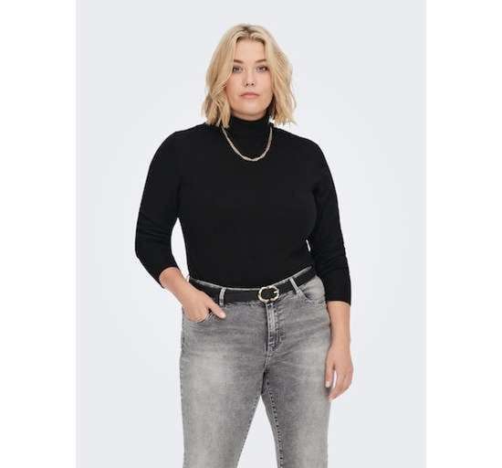 Свитер с высоким воротником CARVENICE LIFE LS ROLL PULLOVER KNT