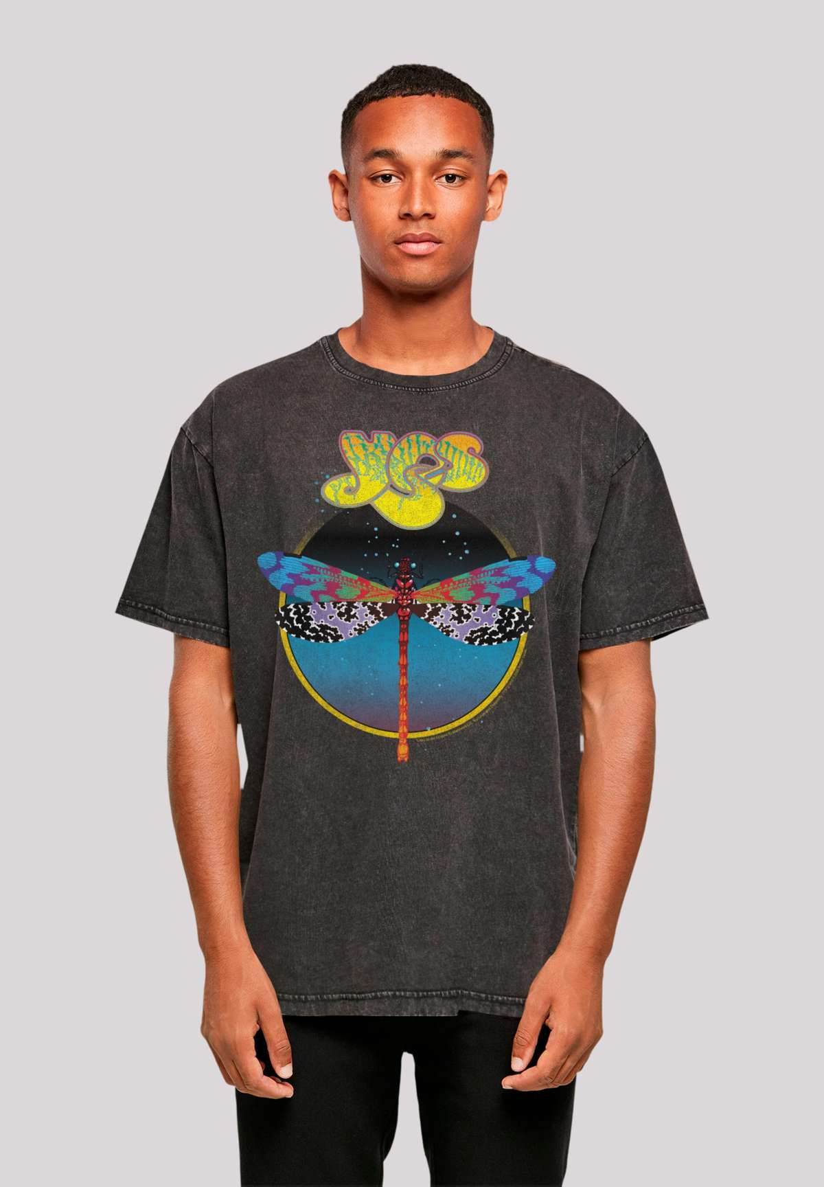 футболка YES Dragonfly Tour V1