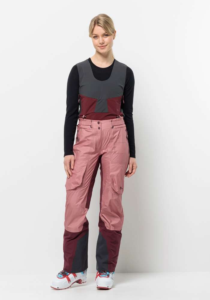 Лыжные штаны ALPSPITZE AIR PANTS W