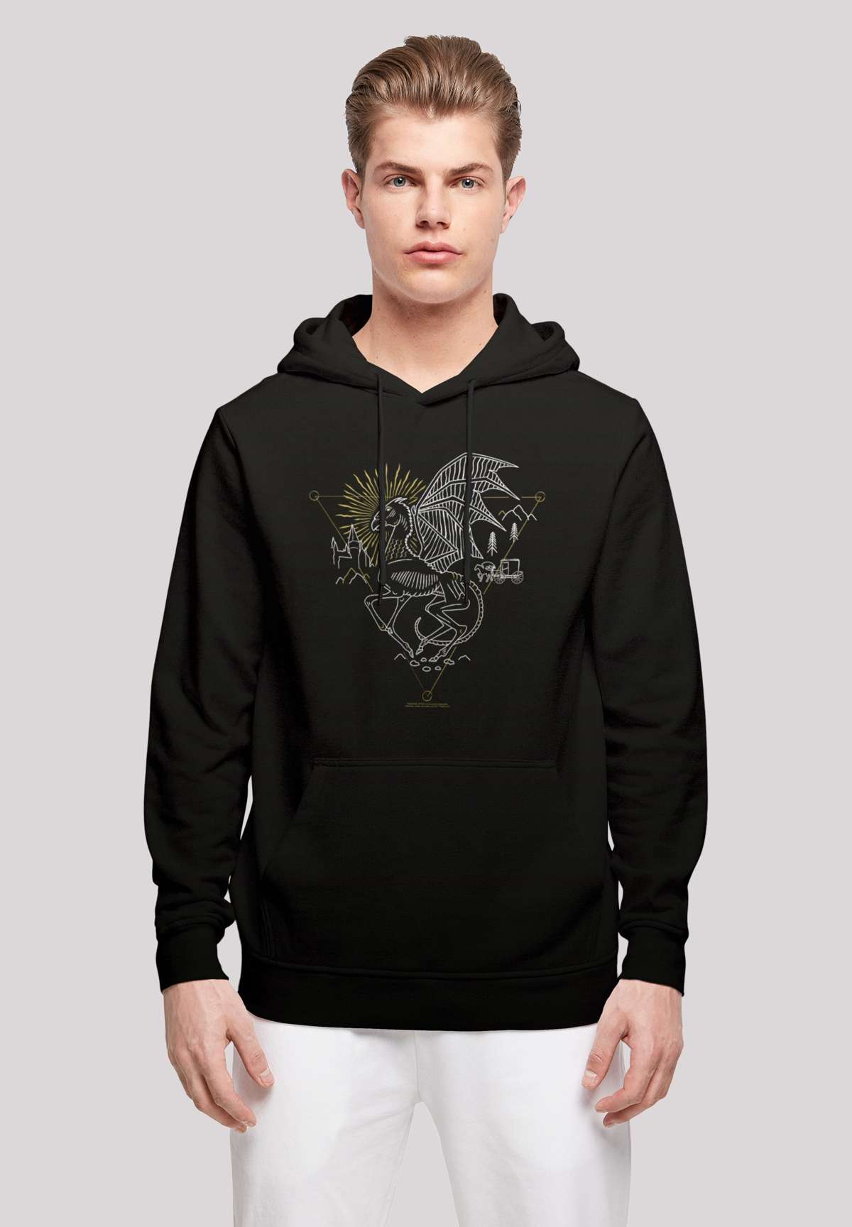 Толстовка с капюшоном Harry Potter Thestral Line Art