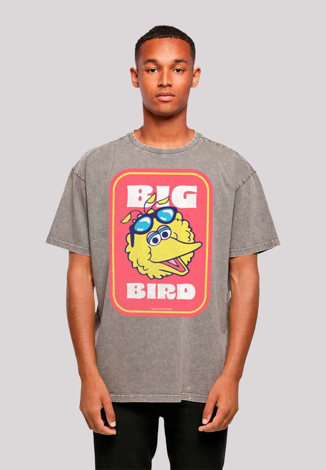 футболка Sesamstra?e Bilbo Big Bird Sticker