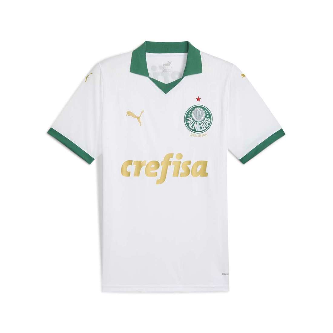 Тренировочная рубашка Palmeiras Fans 2024 Auswärtstrikot Herren