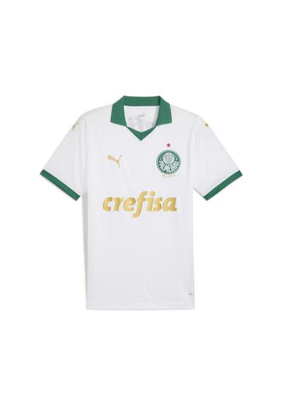 Тренировочная рубашка Palmeiras Fans 2024 Auswartstrikot Herren