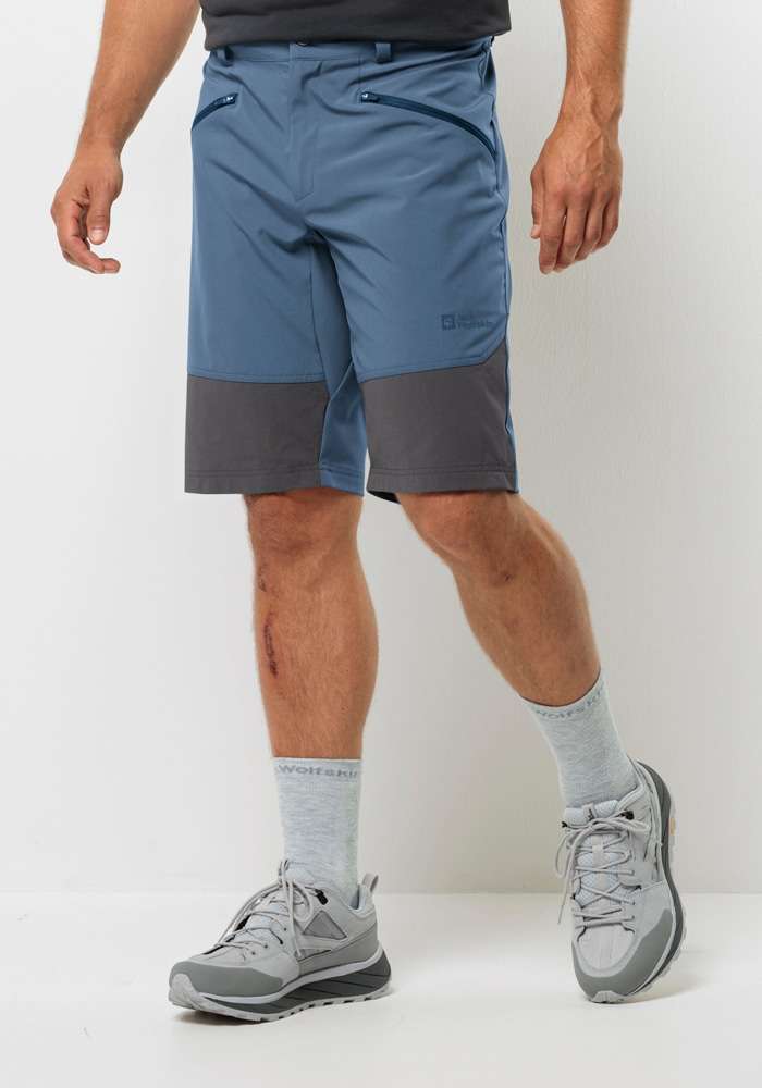 шорты HIKING ALPINE SHORT M