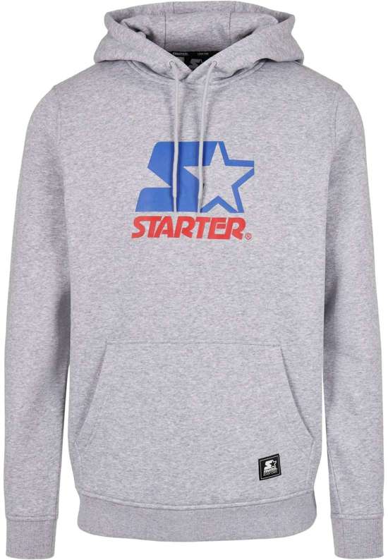 Толстовка с капюшоном Herren Starter Two Color Logo Hoody
