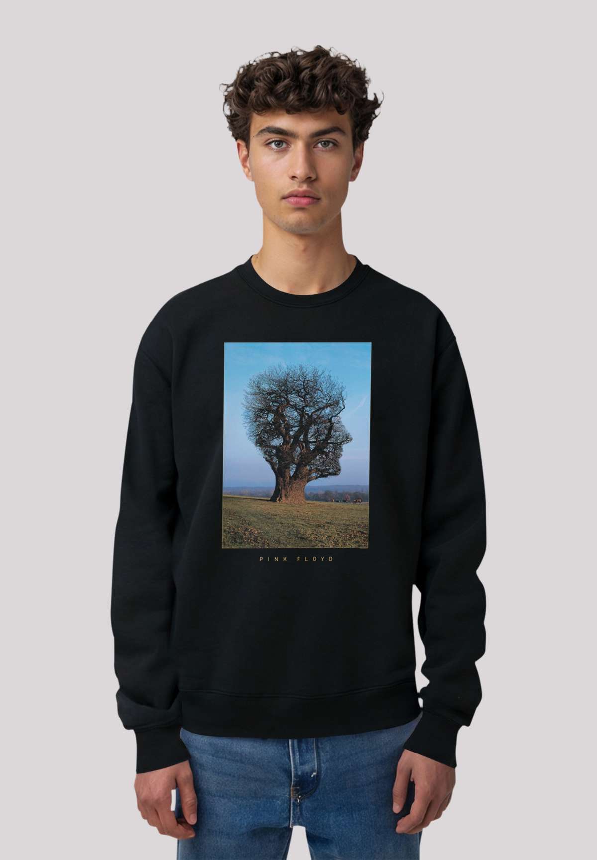 толстовка Pink Floyd Tree Head