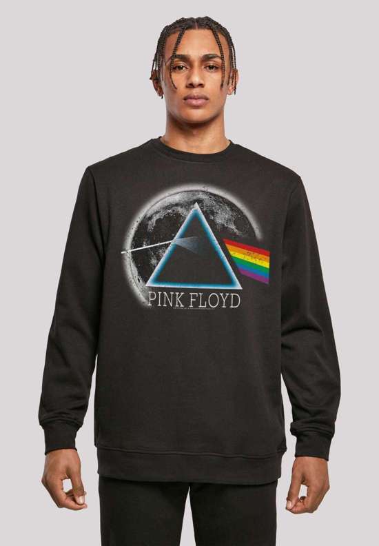 толстовка Pink Floyd Dark Side of The Moon Distressed Moon