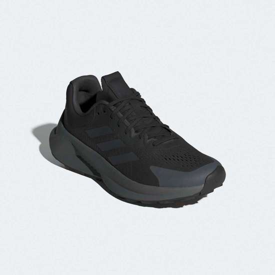 Кроссовки TERREX SOULSTRIDE FLOW GORE-TEX TRAILRUNNING