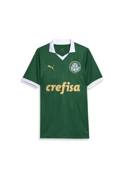 Тренировочная рубашка Palmeiras Fans 2024 Heimtrikot Herren
