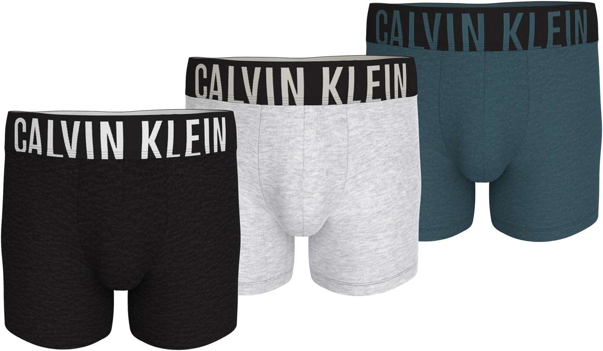 боксер BOXER BRIEF 3PK