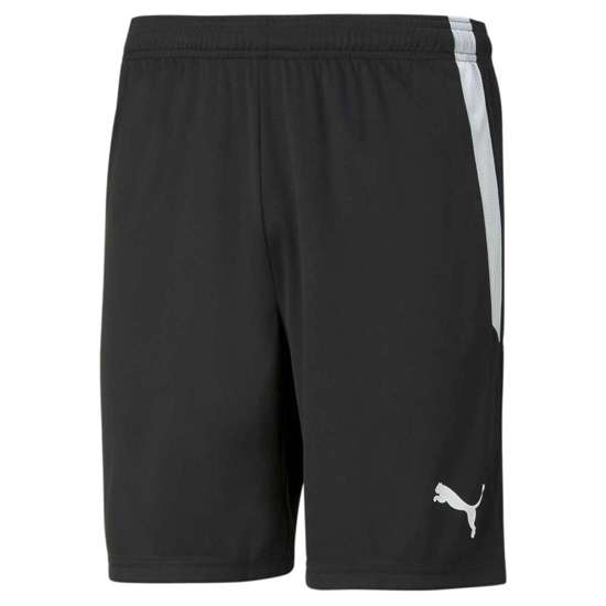 Тренировочные шорты TEAMLIGA SHORTS