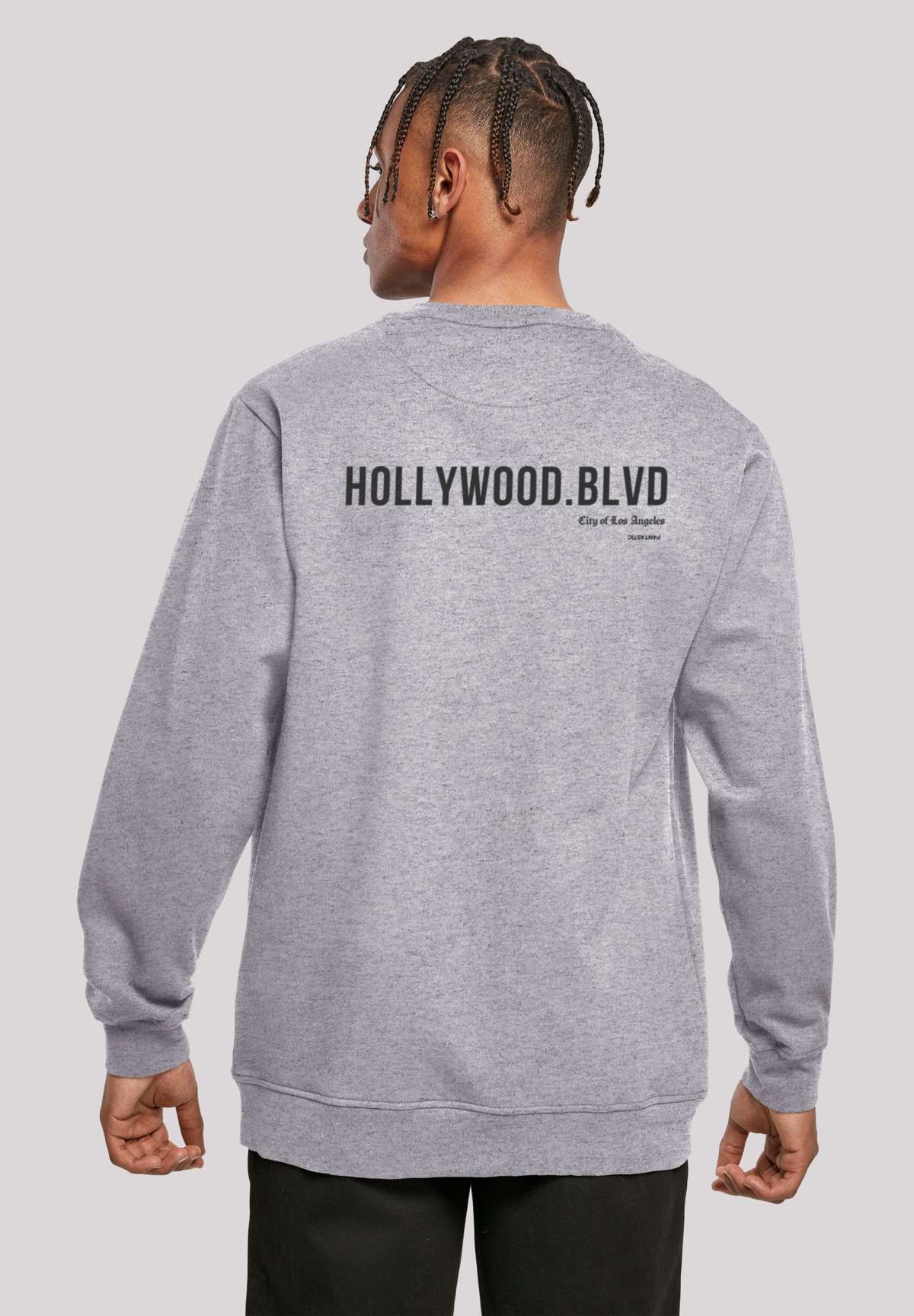 Толстовка с капюшоном Hollywood blvd CREW