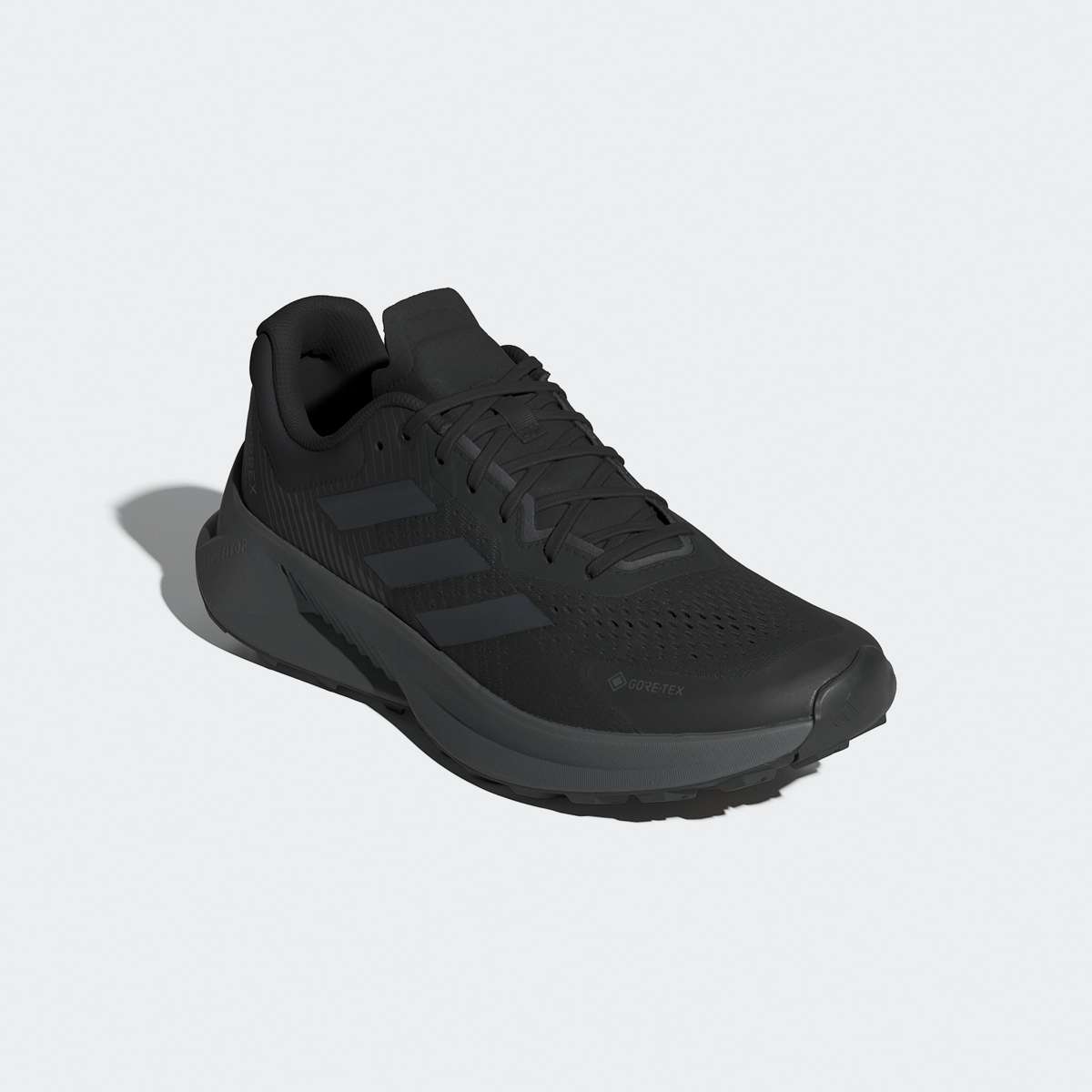 Кроссовки TERREX SOULSTRIDE FLOW GORE-TEX TRAILRUNNING