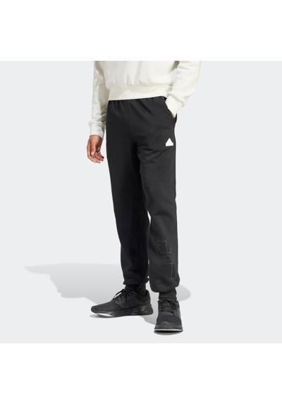 Спортивные брюки BL FL PNT Q1 GD