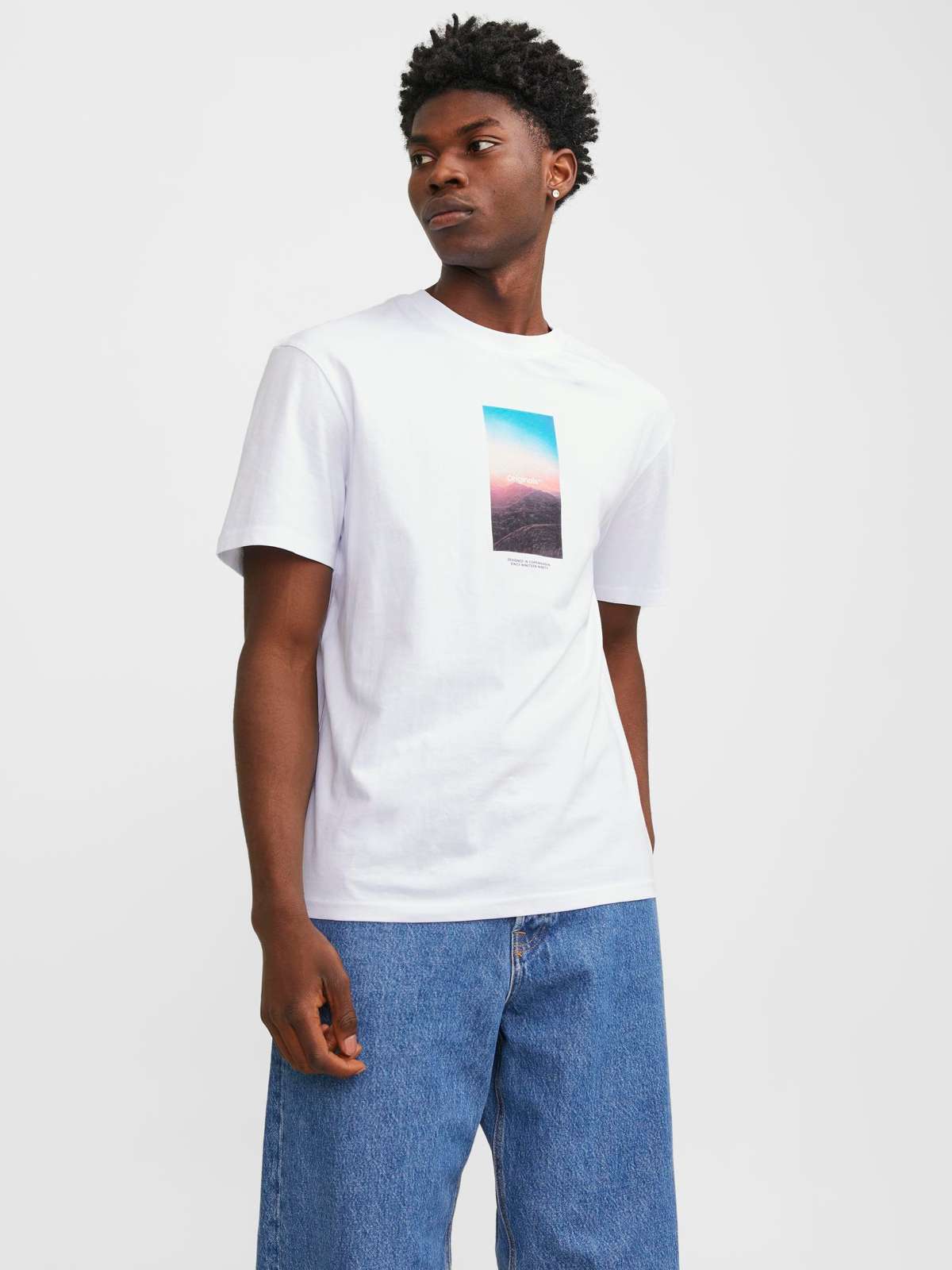 Рубашка с коротким рукавом JORVESTERBRO PICTURE TEE SS CREW NECK SN