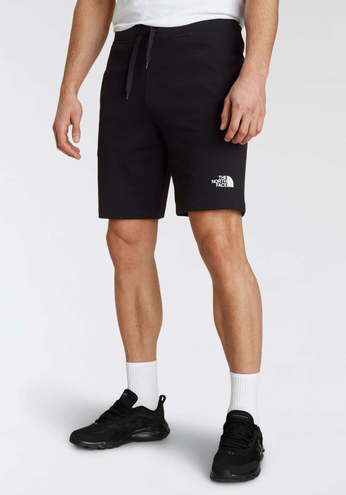 Спортивные шорты NF0A3S4FJK31 M Graphic Short light,