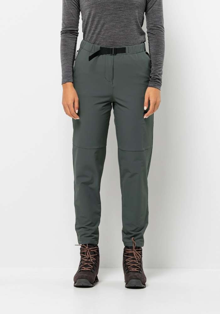 Трекинговые брюки WANDERMOOD PANTS W