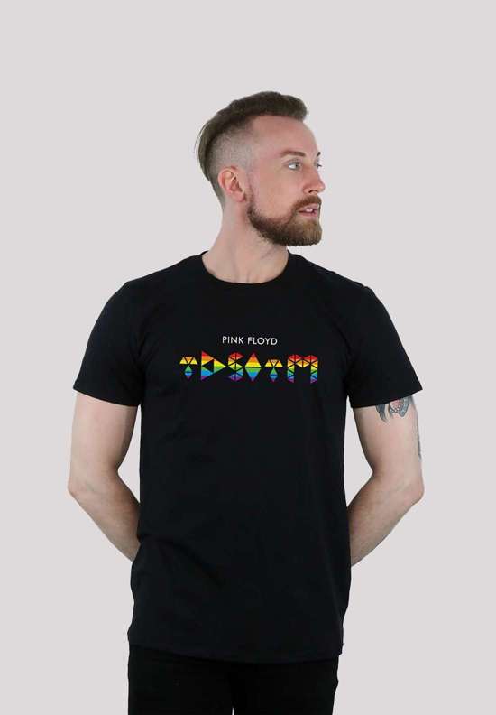 футболка Pink Floyd TDSOTM Rainbow