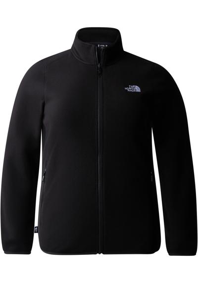 Флисовая куртка оверсайз PLUS 100 GLACIER FLEECE FULL ZIP