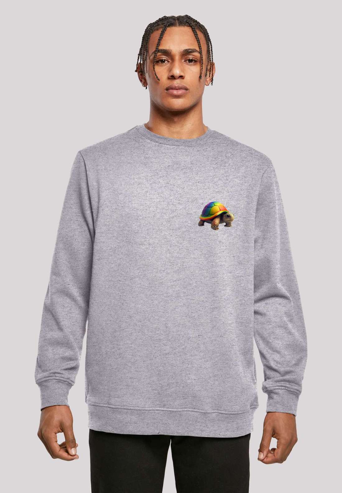 Толстовка с капюшоном Rainbow Turtle CREWNECK