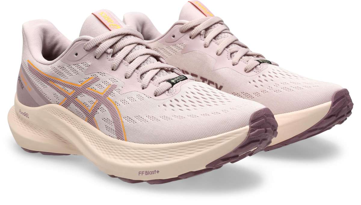Кроссовки для большей устойчивости GT-2000 12 Gore-Tex