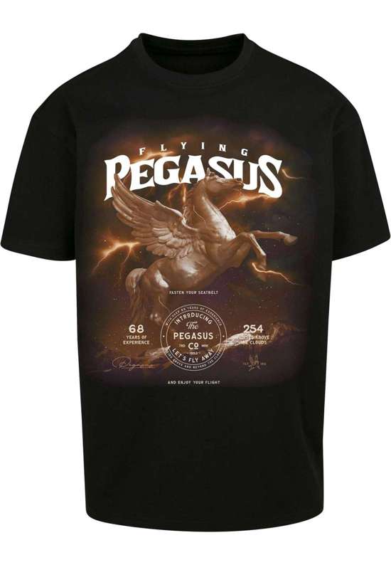 футболка Unisex Pegasus Oversize Tee