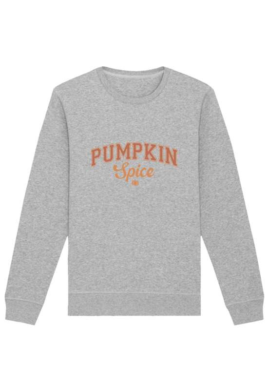 толстовка Pumpkin spice college