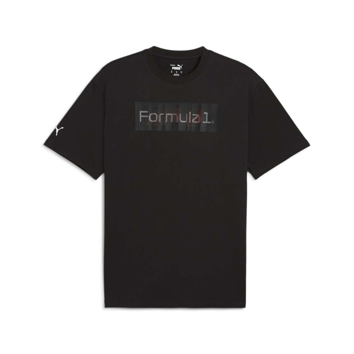 футболка F1® Graphic Logo T-Shirt Herren