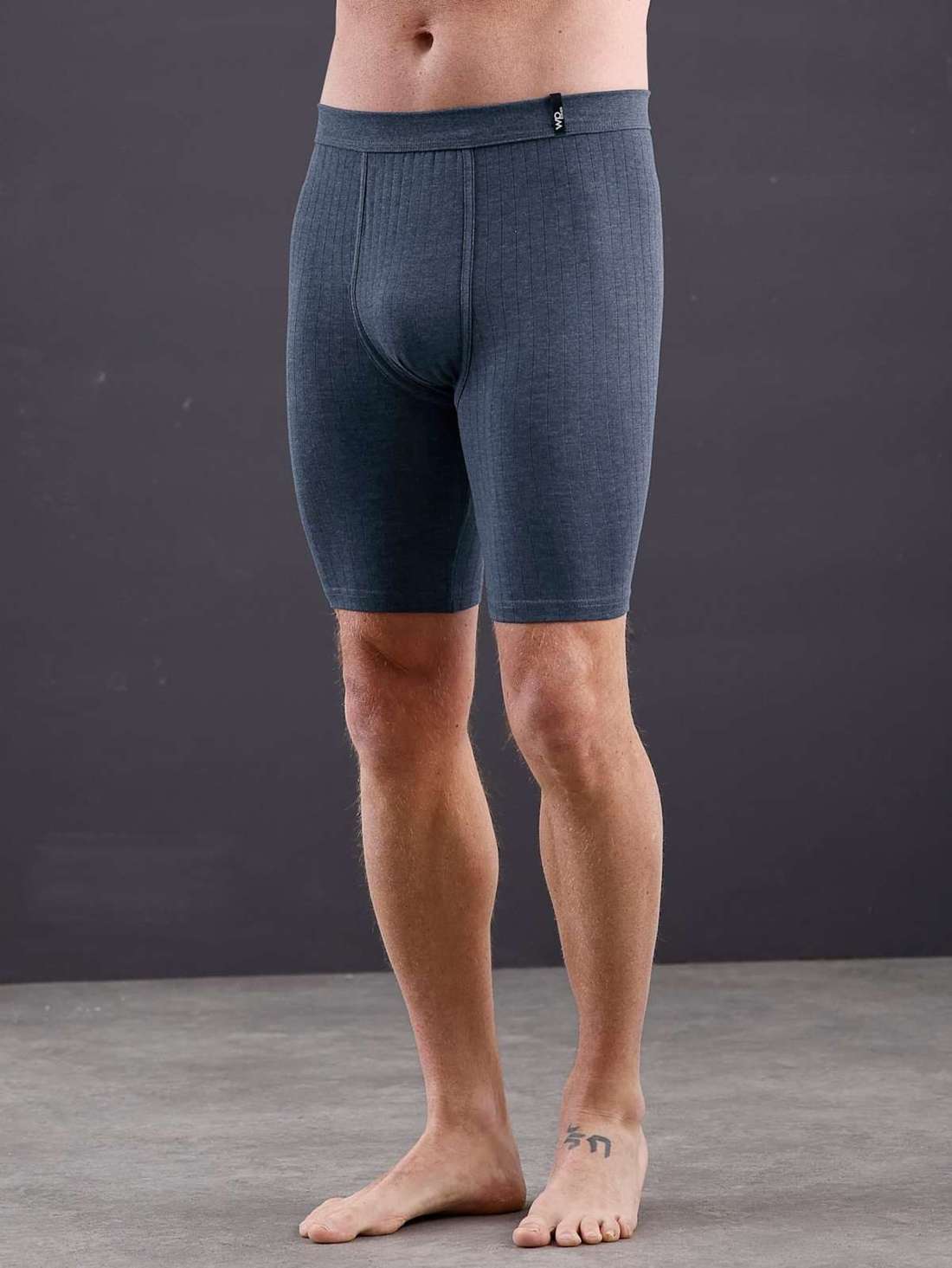 Длинный боксер