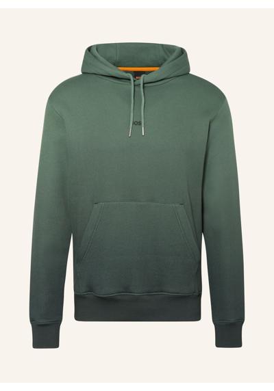 Толстовка с капюшоном GRADIENTHOODIE