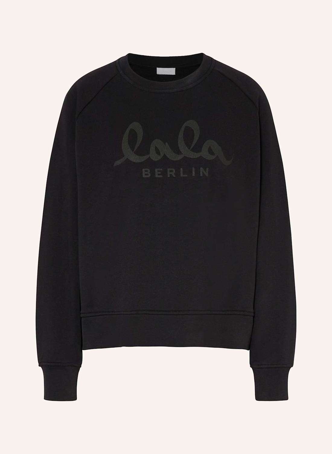 Свитшот IJORA