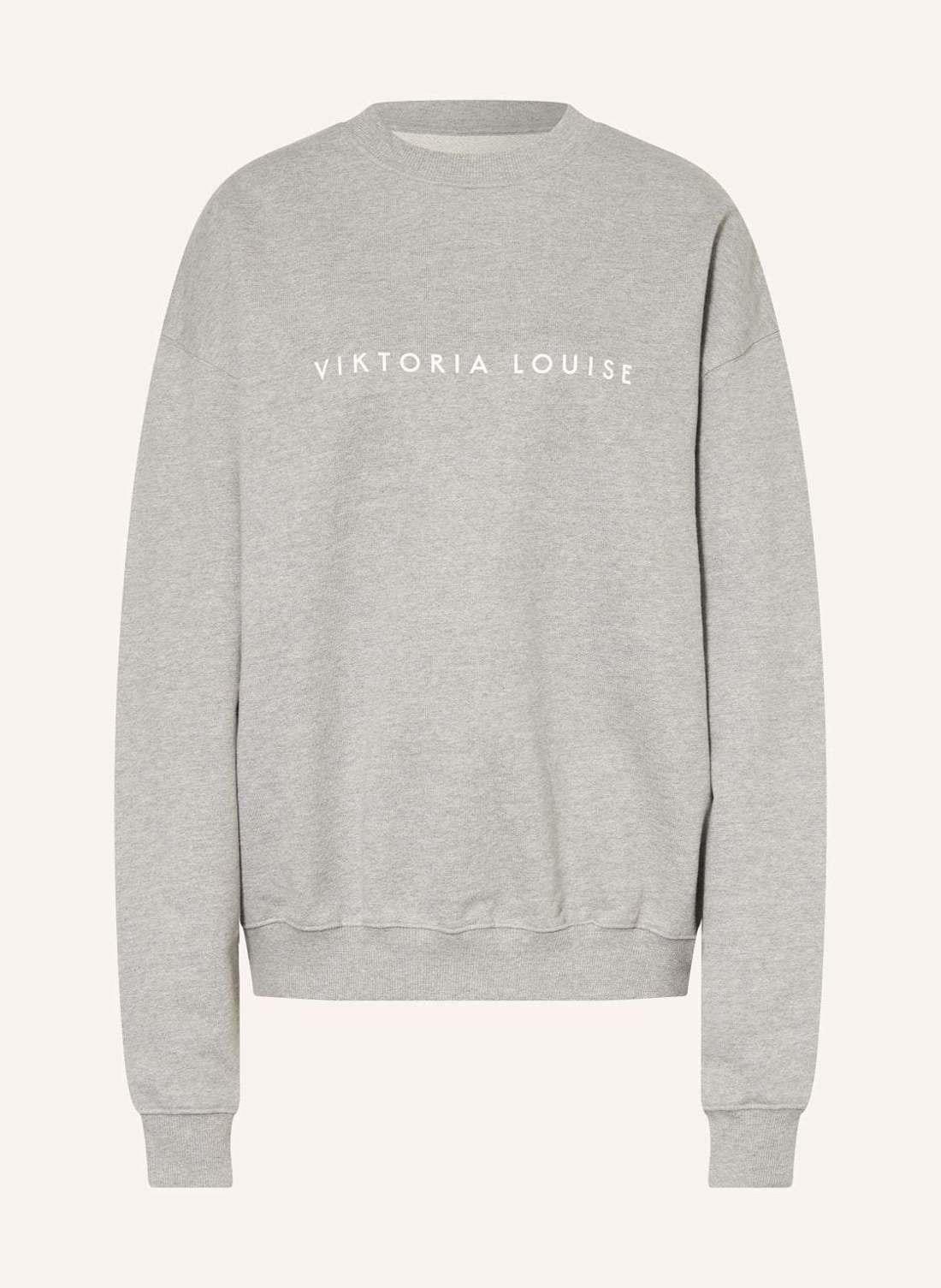 Толстовка оверсайз THE ACTIVEWAER SWEATER