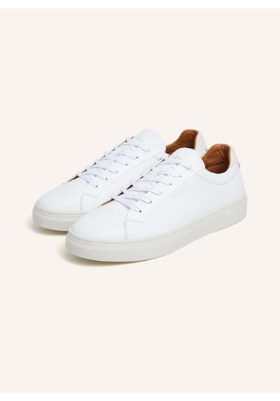 Оксфорд HACKNEY CLASSIC