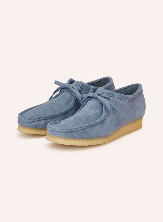 Сапоги пустыни WALLABEE