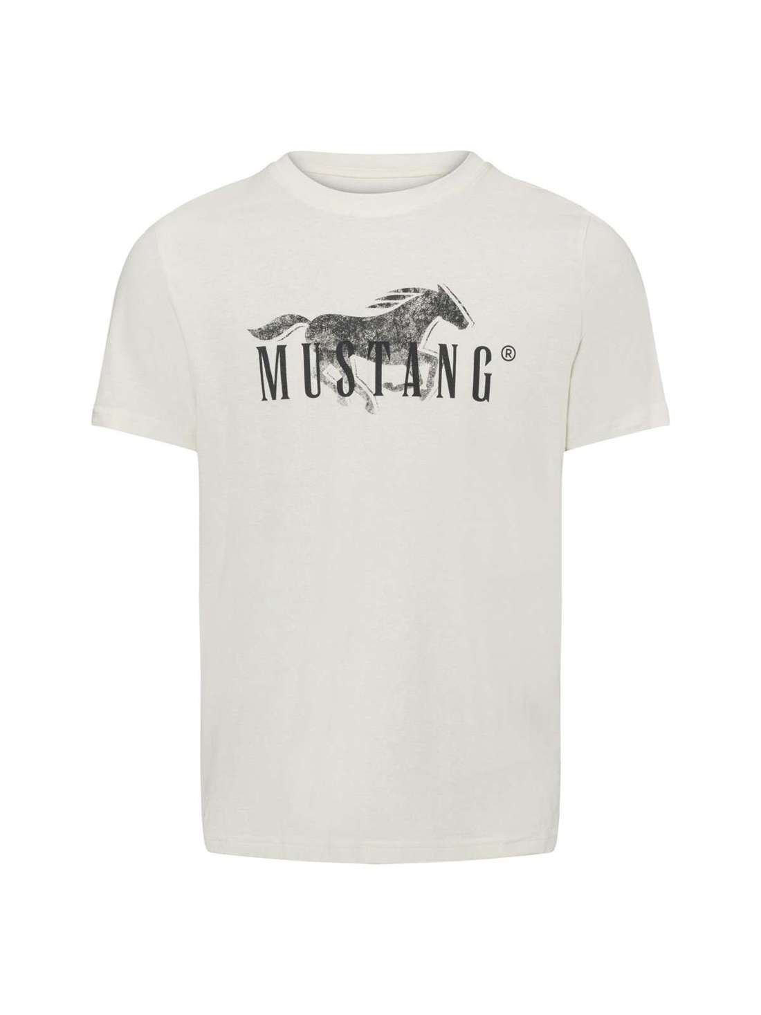 Футболка Austin