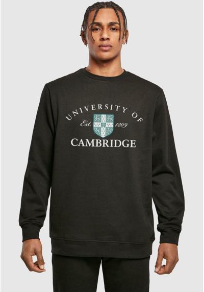Кофта UNIVERSITY OF CAMBRIDGE-EST CREWNECK